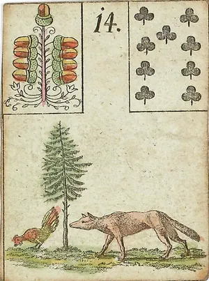 A Raposa, carta 14 do baralho cigano