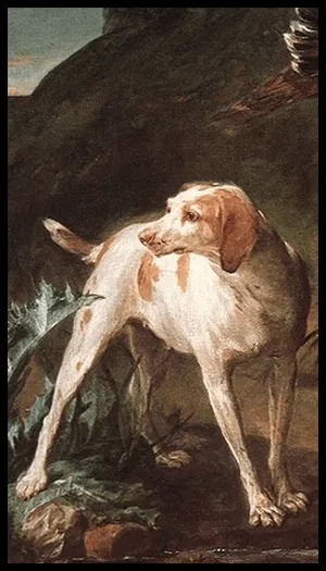 Köpek katina kartı