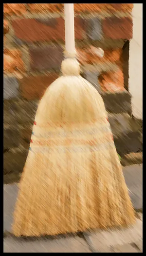 Süpürge katina kartı